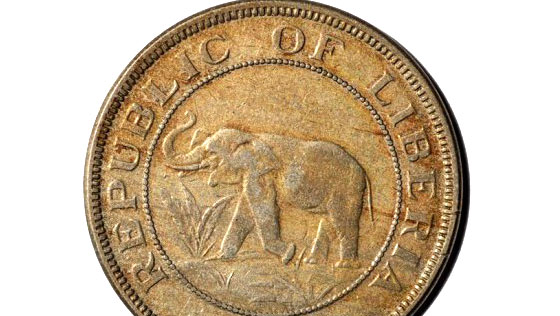 Elephant-coin-crop