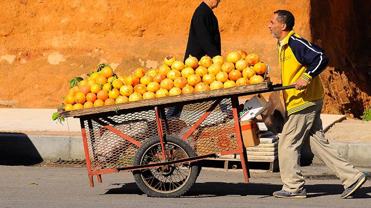 Oranges on cart