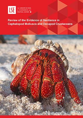 Sentience in Cephalopod Molluscs and Decapod Crustaceans