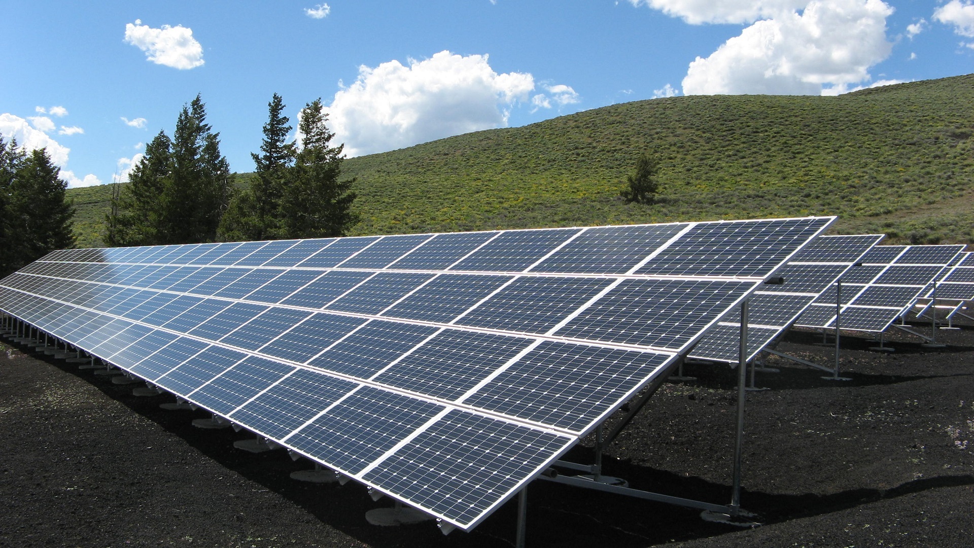 solar panels pku dual degree