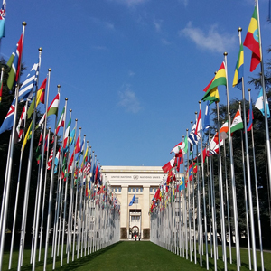 Flags Geneva UN sq