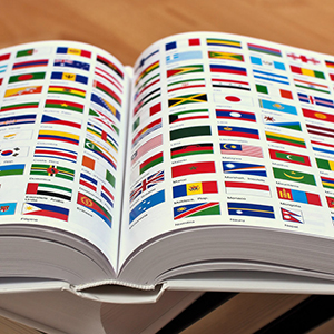 World Flags Encyclopedia sq