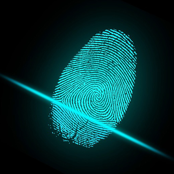 Image of a digital fingerprint