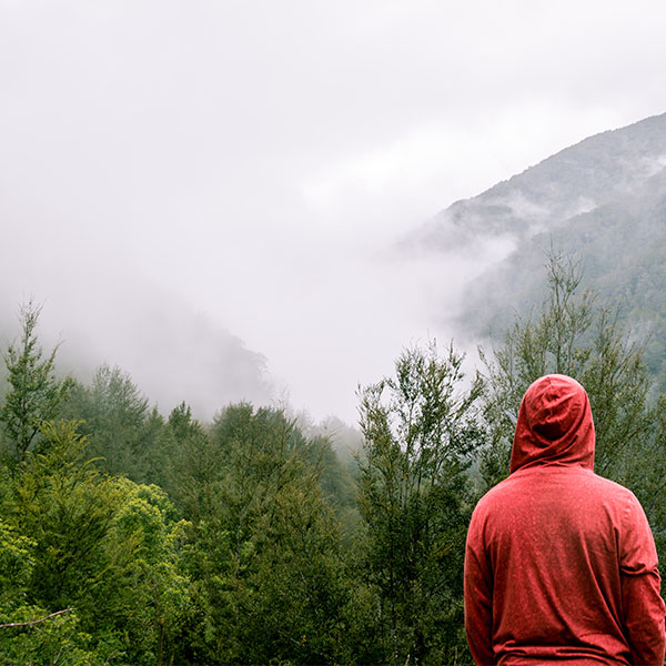Image of a man looking out over a rain forest