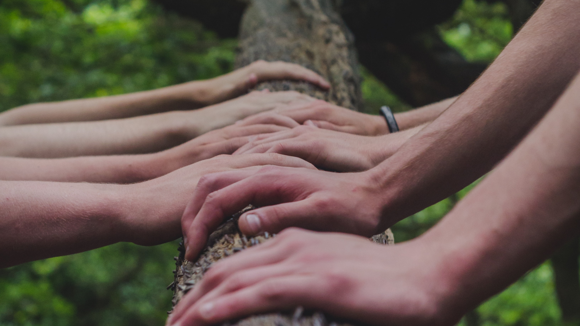 Group of people placing their hands on a tree