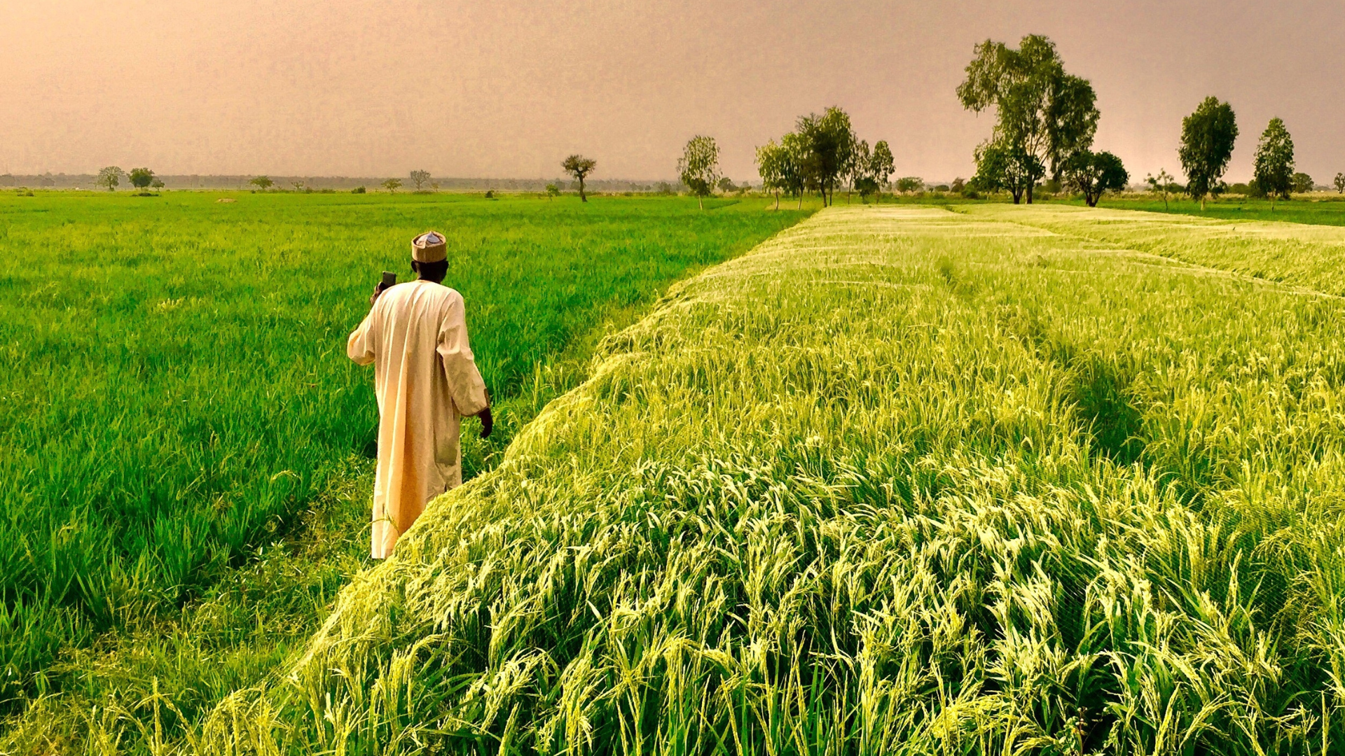 Man working in a field