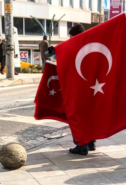 turkey flag 733