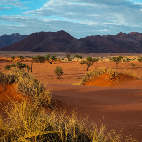 Namibia desert