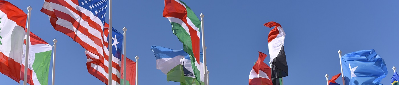 1400x300 flags